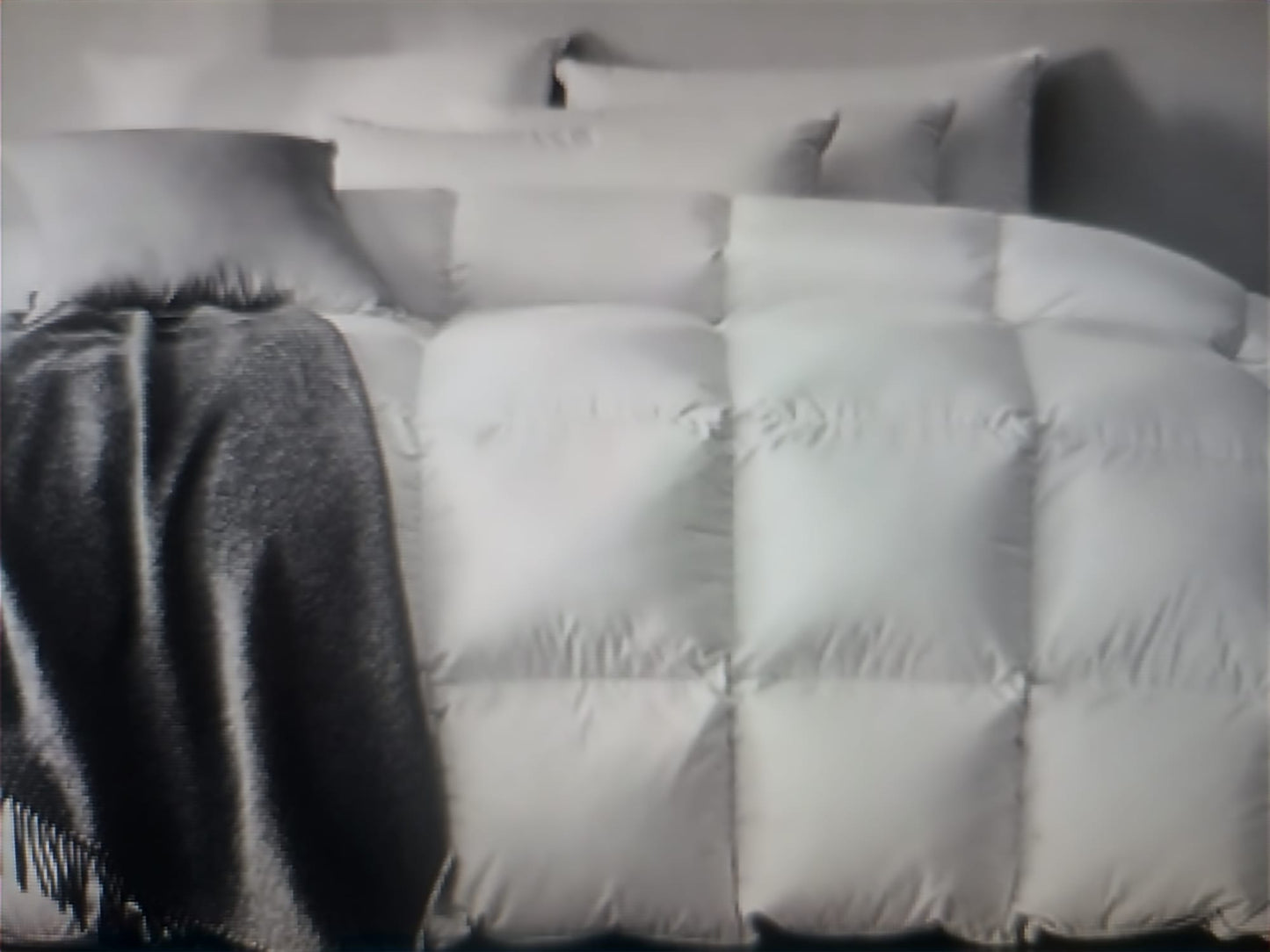 Piumino d'oca vergine